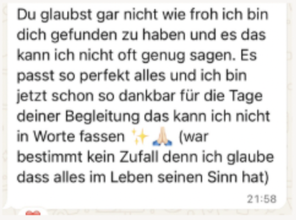 WhatsApp Feedback